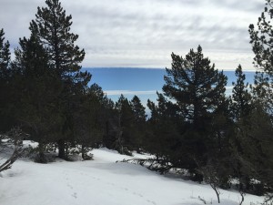 Ballade en Raquette au Mont Ventoux 8-03-15 (38)