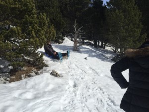 Ballade en Raquette au Mont Ventoux 8-03-15 (49)