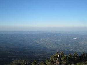 IMG_0186